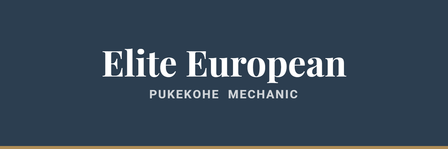 Elite European - mechanic in Pukekohe