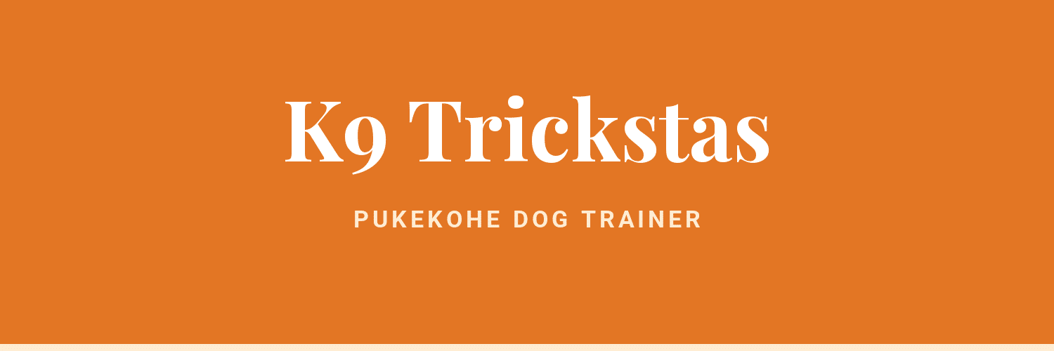 K9 Trickstas - dog trainer in Pukekohe