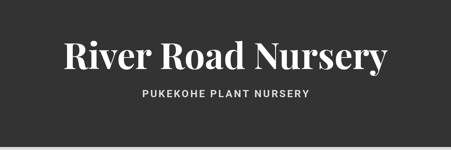 River Road Nursery - plant nursery near Pukekohe