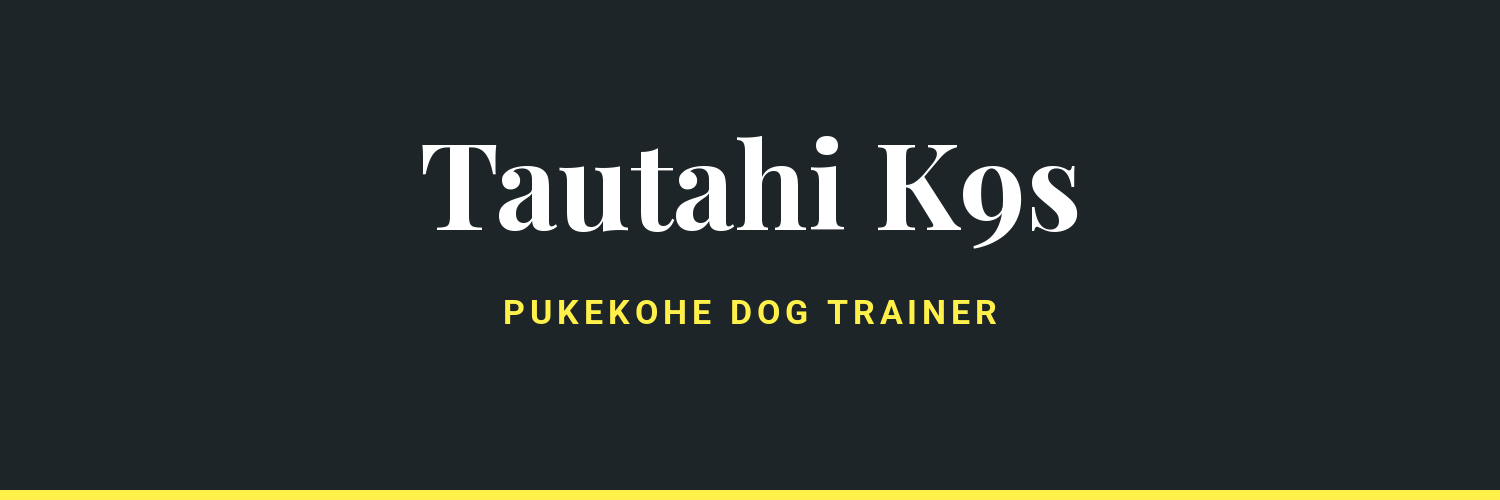 Tautahi K9s - dog trainer in Pukekohe