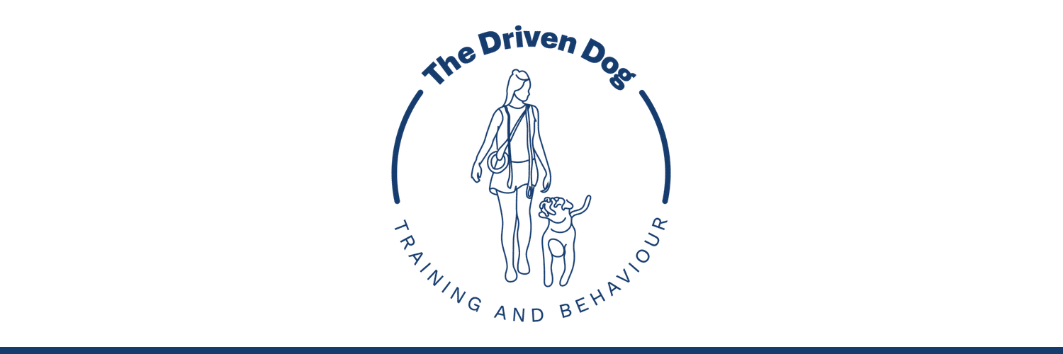 The Driven Dog - dog trainer in Pukekohe