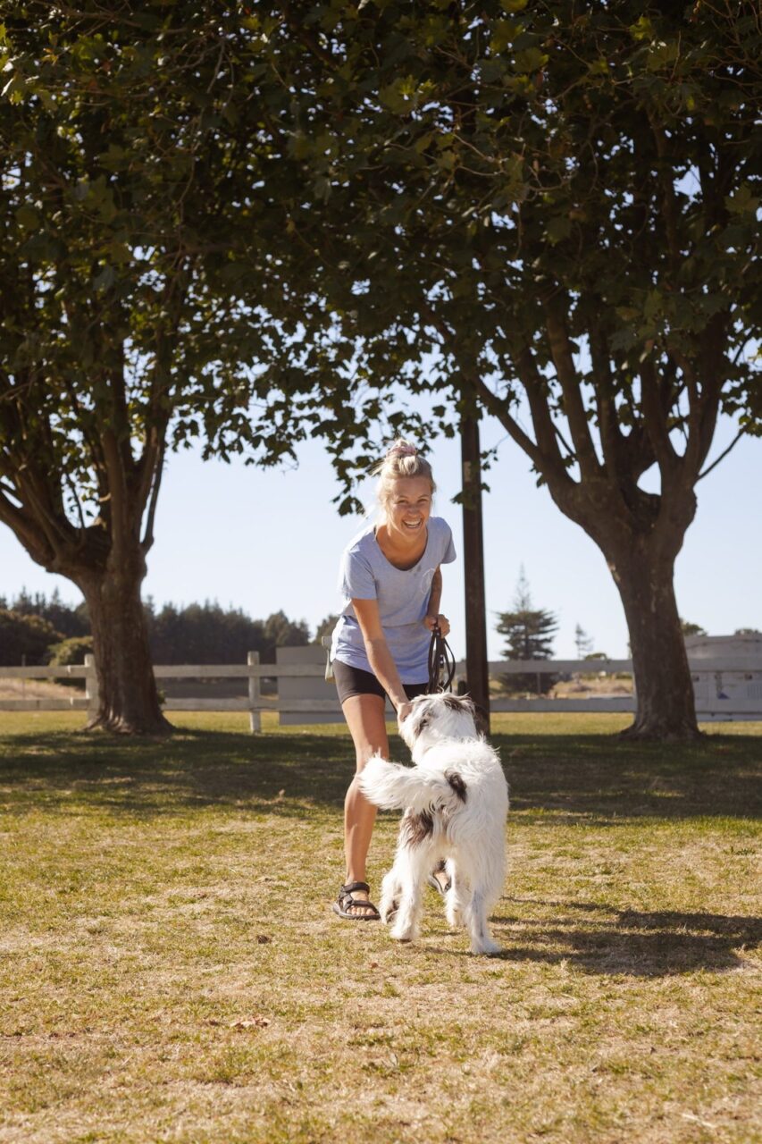The Driven Dog - day training session in Pukekohe
