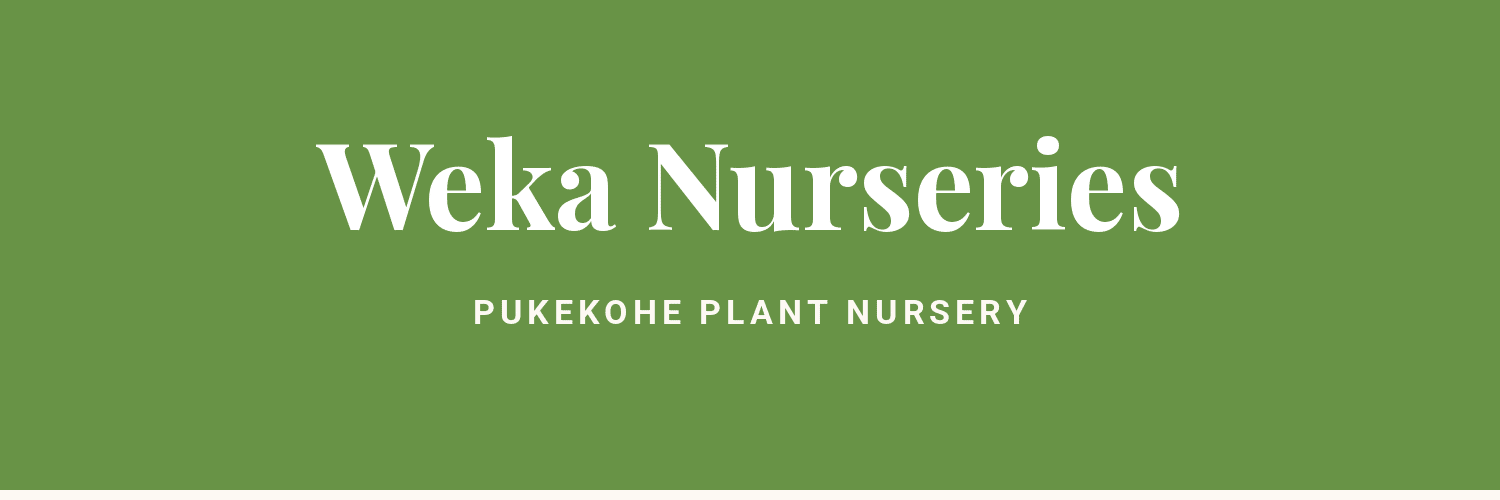 Weka Nurseries - plant nursery near Pukekohe