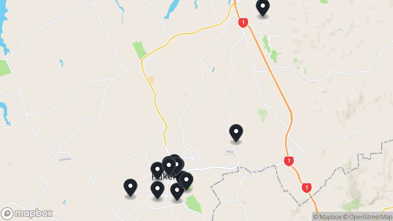 Map of local businesses in Pukekohe